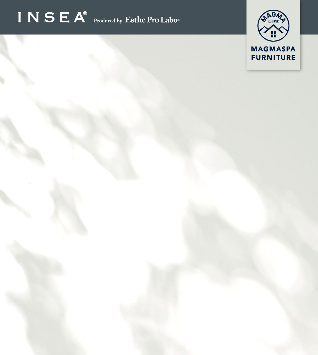 INSEA