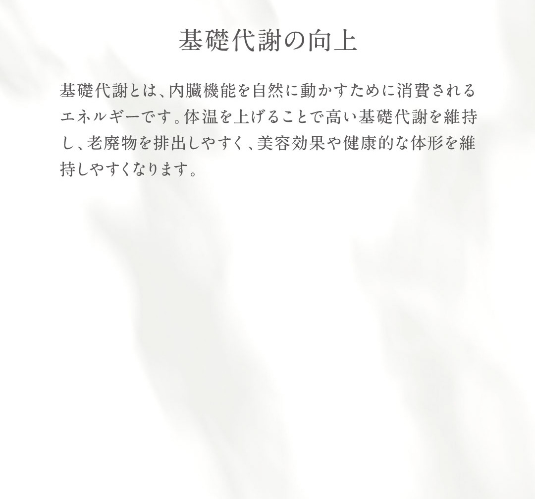 基礎代謝の向上