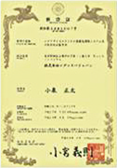 国際特許