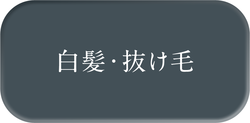 白髪・抜け毛